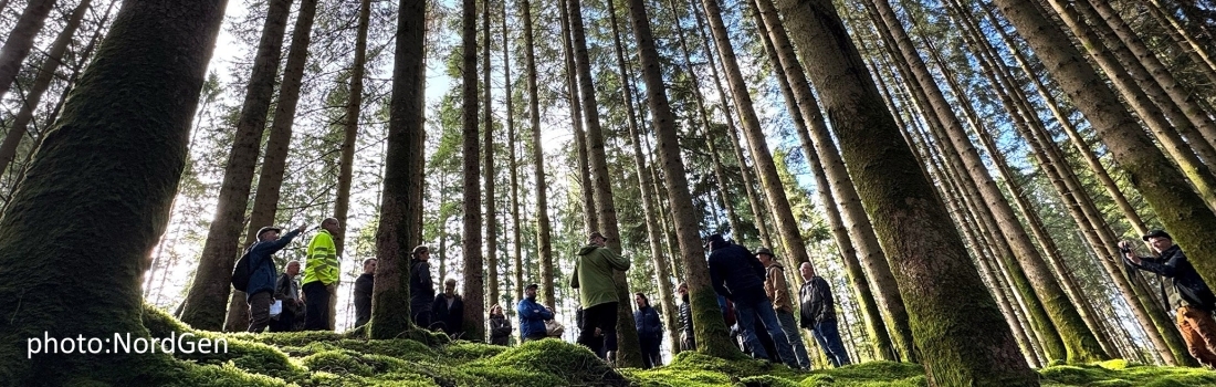 Innomentarium SeediX at Nordgen Forest Conference 2026